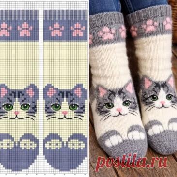 Носки с котиками