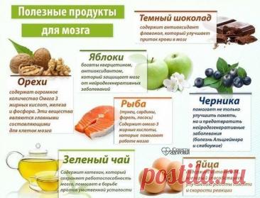 ПОЛЕЗНЫЕ ПРОДУКТЫ ДЛЯ МОЗГА