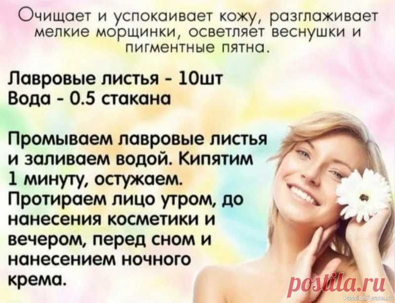 Секреты красоты. Лосьон из лавровых листьев .