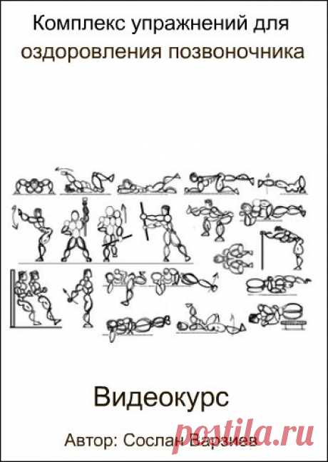 Комплекс упражнений для оздоровления позвоночника (Видеокурс) Комплекс упражнений из глобальной системы атлетиче­ского моделирова­ния «Satlem» для оздоровле­ния позвоночни­ка путем укрепления мышц-стабилиза­торов.Описание курсаЛюбой человек в возрасте знает, что такое проблемы в пояснице и шее — они проявляют­ся практиче­ски у всех. Основная причина таких