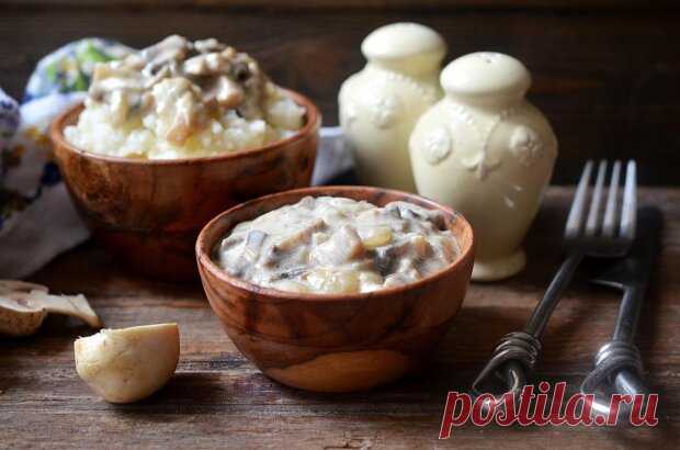 Ароматная грибная подлива со сметаной: ничуть не хуже мясной и подходит к любому гарниру - ЗНАЙ ЮА