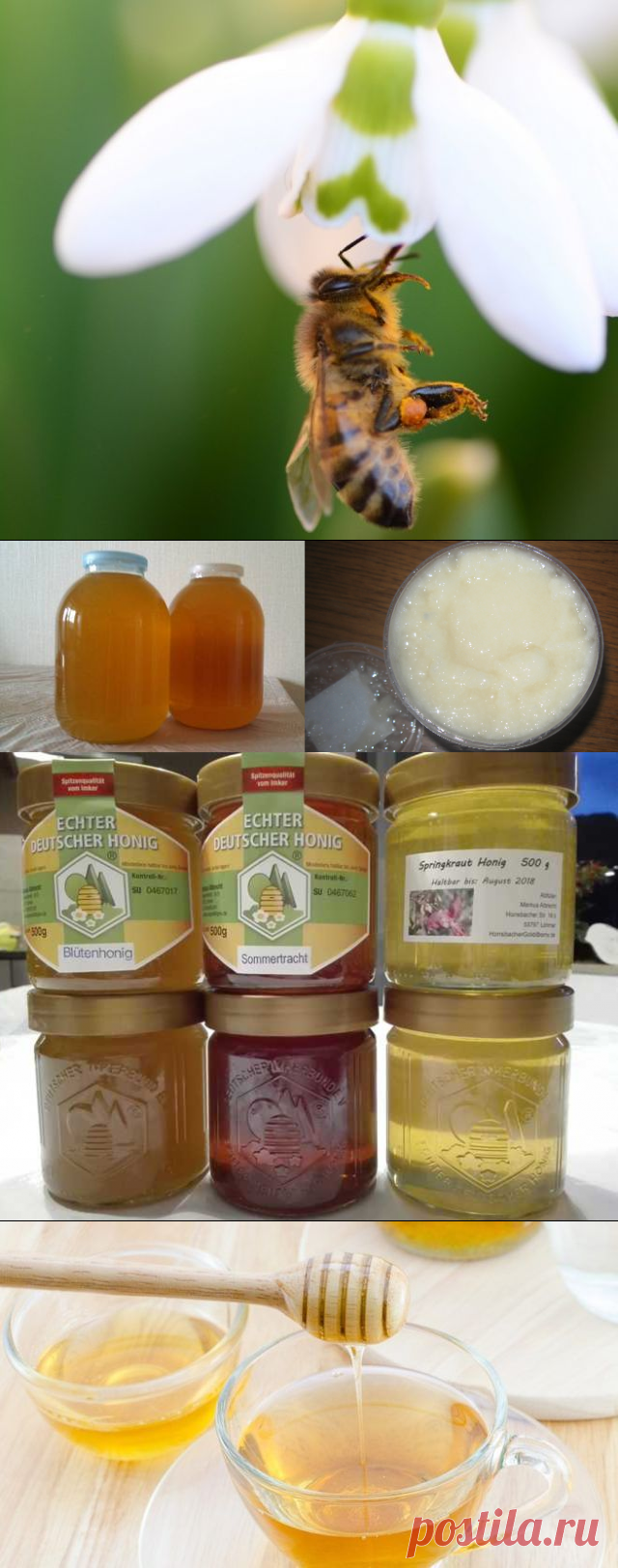 [Решено] Существует ли подснежниковый мед и в чем его польза