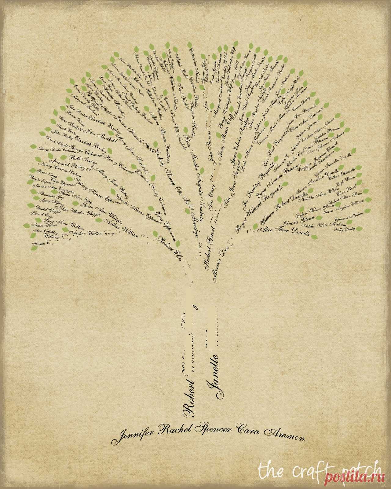Древо стар. Шежере родословная. Фон для родословной. Генеалогическое дерево рисунок. Рисование родословного дерева.
