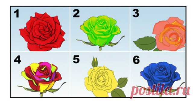 Тест: Выбранная роза расскажет о вашей истинной природе /1. Классическая красная роза