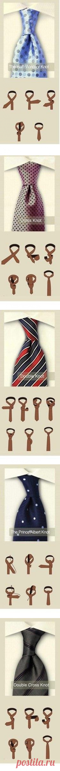 Учимся завязывать галстук!!!!