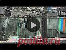 ★ Тщетность бытия. Курица барбекю. Девушка Furfur. Удивительные слова, которых нет в русском // Кусочек Постилы к чаю! - dmitriy3-75-99@mail.ru - Почта Mail.Ru