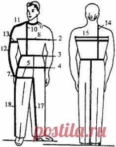 Как снимать мерки с мужчины