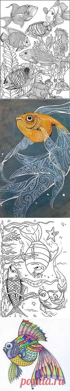 Fish coloring poster | Digi Stamps and Free Printables