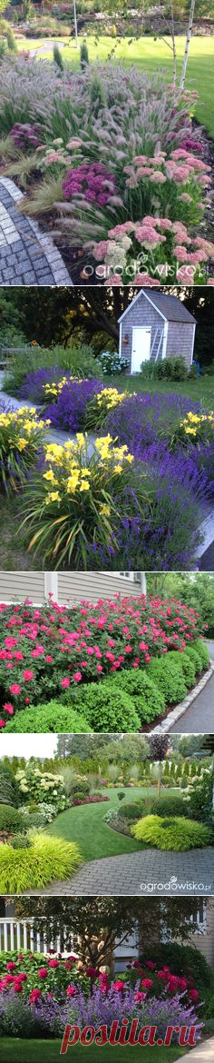(41) Fabulous mix of ornamental grasses and other perennials. | Great Garden Ideas