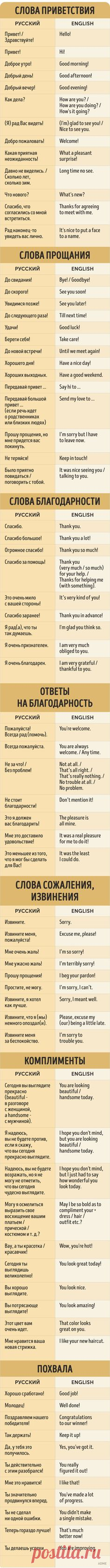 7 способов быть вежливым на английском языке