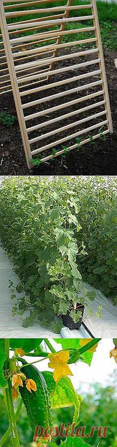 repurposed crib for vertical gardening - see stuff like ... | GardenI…