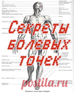 Секреты болевых точек (4 DVD-rip) [2008 г., самооборона, болевые точки, DVDRip]