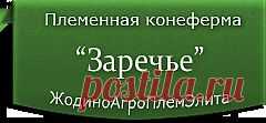 Белорусская упряжная : Продажа лошадей