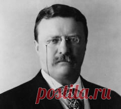 Сегодня 06 января в 1919 году умер(ла) Теодор Рузвельт-США