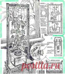 Комнатный огород - Свое хозяйство * - Сборник - Познавательный Интернет-журнал "Умеха - мир самоделок"