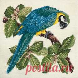 Macaw Needlepoint Kit | Elizabeth Bradley Design