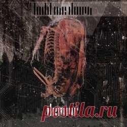 Hold Me Down - Devour (2025) Artist: Hold Me Down Album: Devour Year: 2025 Country: USA Style: Industrial Black Metal