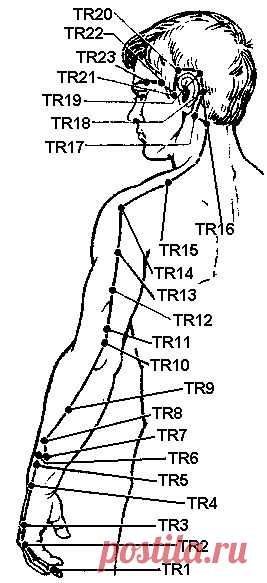 Меридиан трех обогревателей (TR)