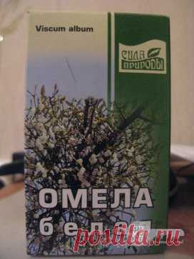 ТРАВЫ ДЛЯ ПОХУДЕНИЯ. ОМЕЛА И ЛИПА Как говорит Сергей Макеев, доктор народной медицины: За 5 дней сбросить 5кг веса - это не предел. Есть очень старый и не раз проверенный рецепт: Берём липу, примерно горсть и заливаем её в термосе одним литром кипятка. И пьём в течение дня когда захочется пить. То есть ничего кроме липы не пьём. Кушаем, что хотим, но умеренно. На другой день берём Омелу ивную. Это растение от ста заболеваний. Опять же завариваем горсть травы на один литр кипятка в термосе. Омела