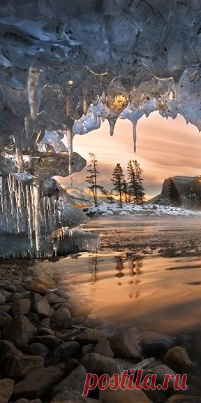 In hiding at Banff National Park in Alberta, Canada • photo: Robert Beideman on Orenco Photography Club