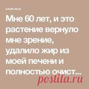 (366) Мне 60 лет, и это растение вернуло мне зрение, удалило жир из моей печени и полностью очистила толстую кишку! | Мамам