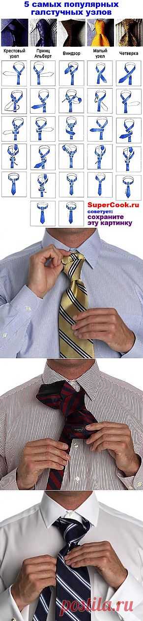 Самые популярные узлы для завязывания галстука... 12 СПОСОБОВ.