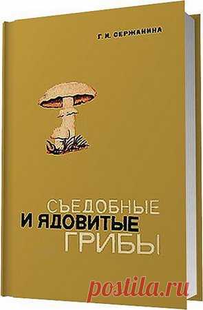 Съедобные и ядовитые грибы. Определитель / Г. И. Сержанина (PDF) Книга Съедобные и ядовитые грибы. Определитель является практическим руководством для определения грибов, учит отличать съедобные грибы от ядовитых, правильно ориентироваться в сроках плодоношения и местах произрастания грибов. Знакомит читателя с особенностями жизни шляпочных грибов, с их