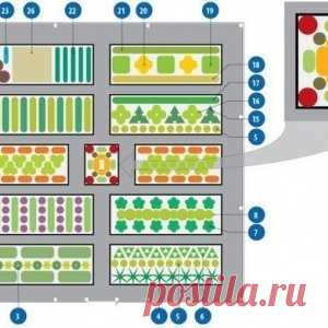 Долго искала схему овощной клумбы, чтоб все культуры находились в выгодном для них соседстве - МирТесен