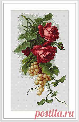 Красные розы и виноград.Luca-S.