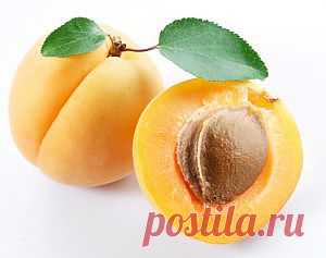 Абрикос - польза и полезные свойства абрикосовых плодов