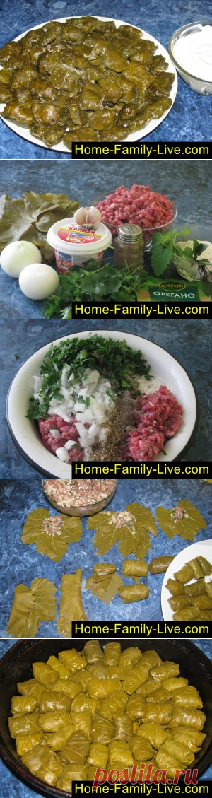 Долма/Сайт с пошаговыми рецептами с фото для тех кто любит готовить