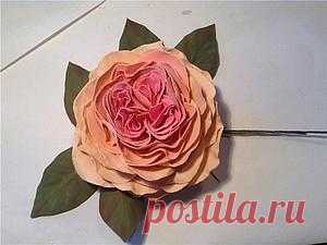 Пионовидная роза из фоамирана (ревелюра) Мастер-класс от Елены Шириновой - Nebka.Ru