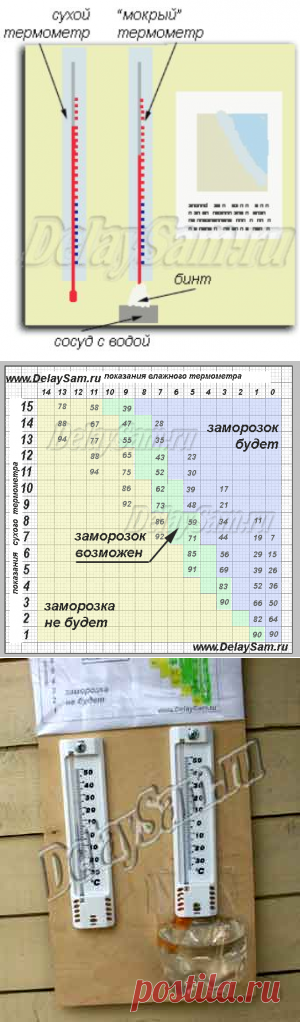 Как узнать, будут ли заморозки?