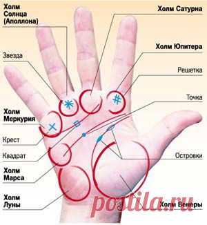 Найдите на ладонях знаки талантов - 7 Июня 2010 - Персональный сайт
