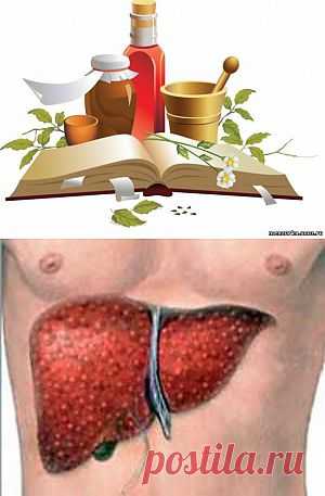 Очищение печени запускает механизм омоложения - Очищение организма