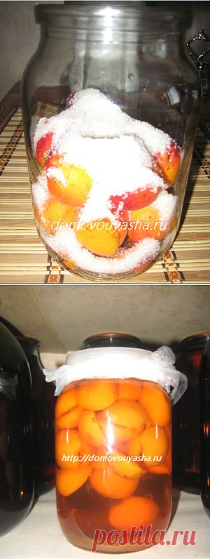 Домашняя настойка абрикосовая. Проверенный временем рецепт. | Народные знания от Кравченко Анатолия