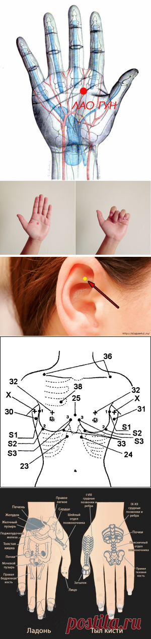 Заболевание - Массаж точечный и пальцевый, мудры | Ирина Никитина | Фотографии и советы на Постиле