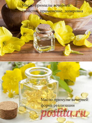 Масло примулы вечерней — свойства, применение, дозировка