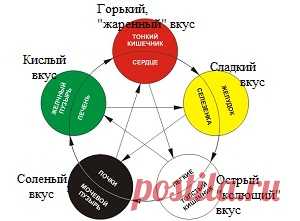 Связь пяти элементов энергетической системы тела, вкуса пищи | ЕСТЬ РЕШЕНИЕ8