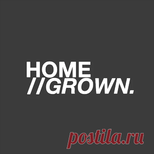 Tech House - House - Bass House - UK Garage / Bassline - Jackin House - Indie Dance - Deep House - Minimal / Deep Tech - 350 HQ Tracks | 4DJsonline.com