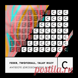 Feder, TwoForAll, Talay Riley - Antidote (GROSSOMODDO Extended Remix) | 4DJsonline.com