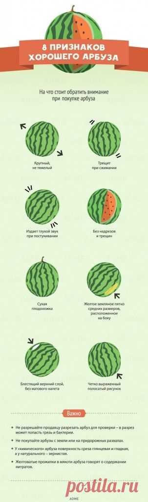 Как выбрать хороший арбуз? Кому противопоказан арбуз? — Всегда в форме!