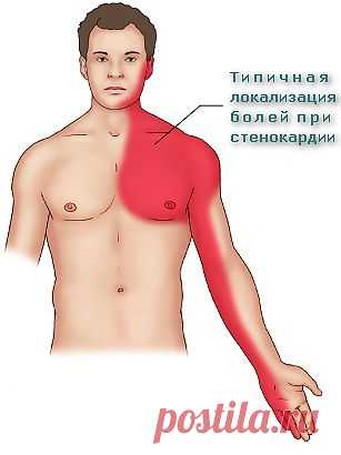 СТЕНОКАРДИЯ. РЕЦЕПТЫ НАРОДНОЙ МЕДИЦИНЫ. | Познавательный сайт ,,1000 мелочей"