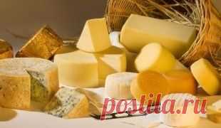 Сырный разгрузочный день: популярные рецепты, меню