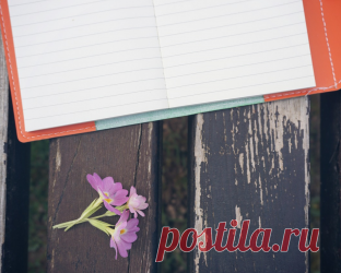 Обязательное чтение: 10 советов из творческих книг Творчество — это не только кисти и краски, ноты и фортепиано. Иногда мы сталкиваемся с творческим ступором, не знаем с чего начать или в чем наше призвание. Но если у нас есть тяга создавать прекрасное, не стоит себя сдерживать выдуманными рамками. Вот несколько интересных мыслей из творческих книг, которые могут вас вдохновить —