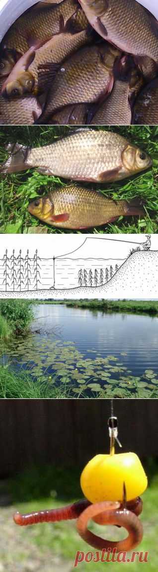 ​Кто сможет поймать карася? прикормка, оснастка, ловля, удочка, наживка, рыболов, водоем, рыба, рыба, крючок, черви, хобби, увлечение, озеро, поездка, речка, лодка, отдых, занятие, река, страсть, снаряжение, клев, улов, увлекаться, клевать, купаться, ловить, рыбная ловля, снасть, вываживание, подсечка, добыча, леска,снасти, крючок, грузило, лов, удила