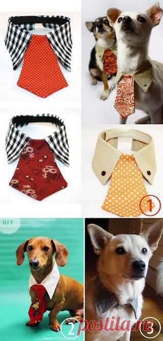 DIY or Buy: Dog Tie and Collar. For more pet DIY gift ideas ... | True Blue Me and You: DIYs for Creative People | Bloglovin'