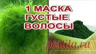 1 маска- густые волосы! От выпадения и для густоты волос! Спирулина! | С Лёгкой Руки | Дзен