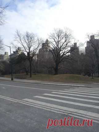 Esto English | VK

Серия: New York. Central Park

Английский для начинающих в Алматы!
Хотите потом учиться в языковой школе в New York?
Мы вам поможем.

www.english-esto.kz