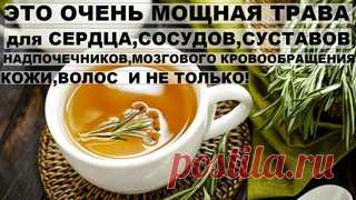 Розмарин- мощная трава для СЕРДЦА,СОСУДОВ,НАДПОЧЕЧНИКОВ,МОЗГОВОГО КРОВООБРАЩЕНИЯ,